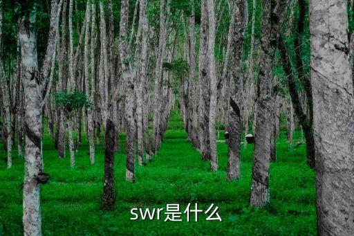 swr是什么