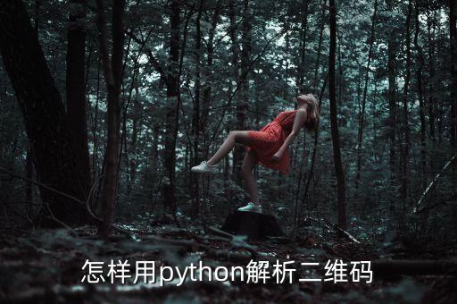 怎樣用python解析二維碼
