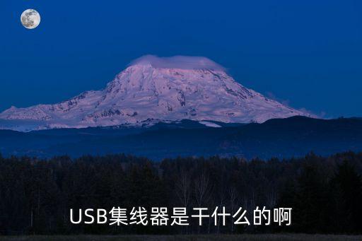 USB集線器是干什么的啊