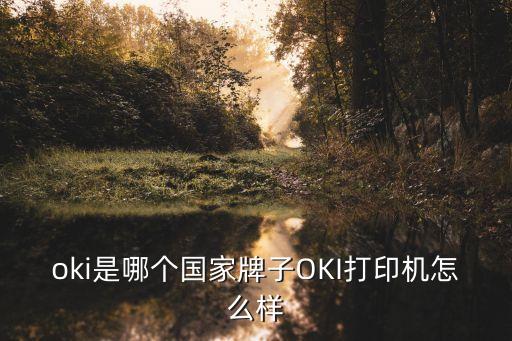 oki是什么牌子，想買OKI的打印機(jī)它有啥優(yōu)勢嗎還有耗材好買嗎