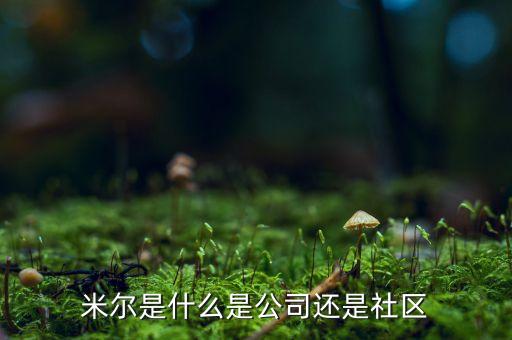 米爾是什么是公司還是社區(qū)