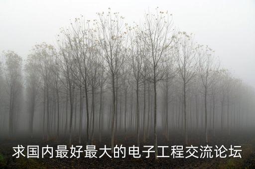 求國內(nèi)最好最大的電子工程交流論壇