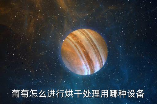 烘干處理，葡萄怎么進(jìn)行烘干處理用哪種設(shè)備