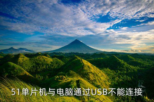 51單片機(jī)與電腦通過USB不能連接