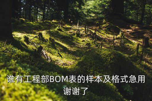 bom表模板，誰有工程部BOM表的樣本及格式急用謝謝了