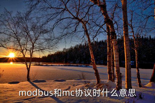 modbus和mc協(xié)議時(shí)什么意思
