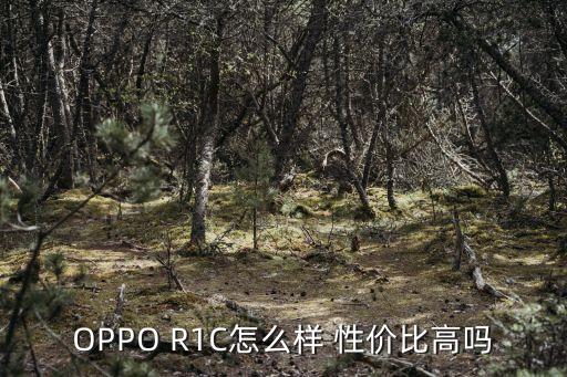 oppor1c，oppo r1c的參數(shù)配置是什么