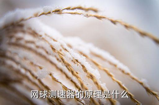 網(wǎng)球測(cè)速器的原理是什么