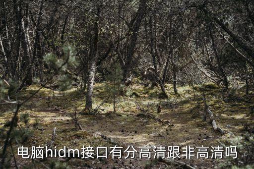 hidm，顯示器用HIDM接口圖像會比DVI接口清晰嗎
