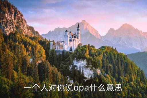 OPA，一個(gè)人對(duì)你說(shuō)opa什么意思