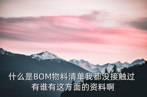 什么是BOM物料清單我都沒接觸過 有誰有這方面的資料啊