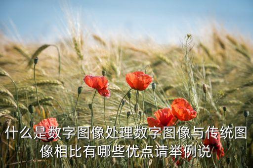 什么是數(shù)字圖像處理數(shù)字圖像與傳統(tǒng)圖像相比有哪些優(yōu)點請舉例說