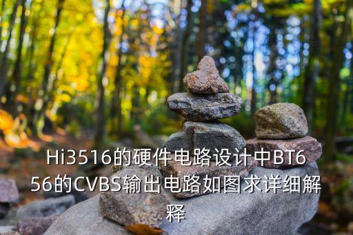 Hi3516的硬件電路設(shè)計(jì)中BT656的CVBS輸出電路如圖求詳細(xì)解釋