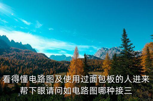 看得懂電路圖及使用過面包板的人進(jìn)來幫下眼請(qǐng)問如電路圖哪種接三