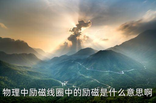 勵(lì)磁是什么意思，勵(lì)磁是什么意思