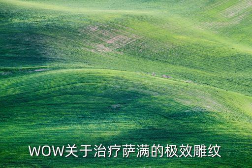 水盾，SM治療怎么刷最高
