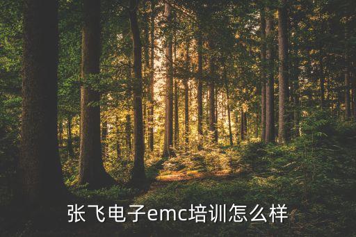 emc培訓(xùn)，ehs安全培訓(xùn)機(jī)構(gòu)有哪些