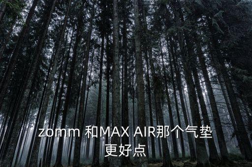 zomm 和MAX AIR那個(gè)氣墊更好點(diǎn)