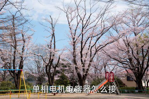 單相電機(jī)電容器怎么接