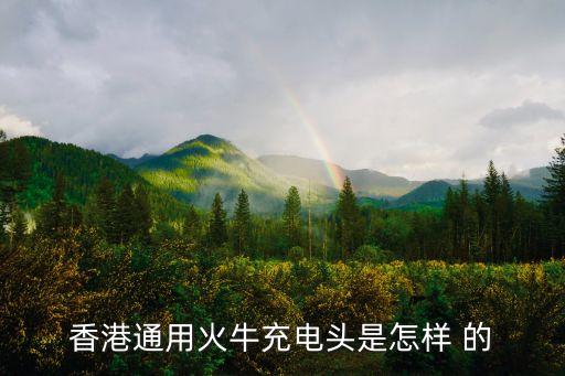 香港插頭圖片，轉(zhuǎn)換插頭你準備好了嗎