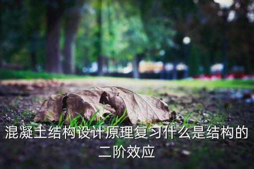混凝土結(jié)構(gòu)設(shè)計(jì)原理復(fù)習(xí)什么是結(jié)構(gòu)的二階效應(yīng)