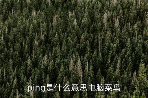 ping，ping是什么意思電腦菜鳥
