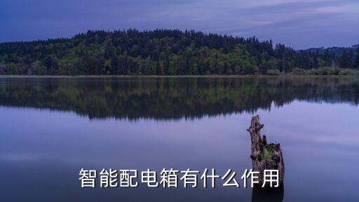智能配電柜，網(wǎng)上看到的wifi配電箱是什么東西可以無線連接嗎