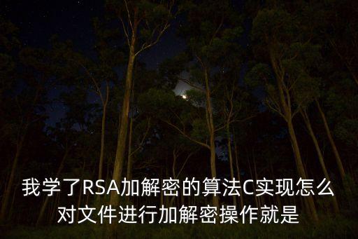 加解密，我學(xué)了RSA加解密的算法C實(shí)現(xiàn)怎么對(duì)文件進(jìn)行加解密操作就是