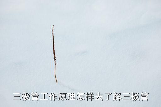 三極管工作原理怎樣去了解三極管