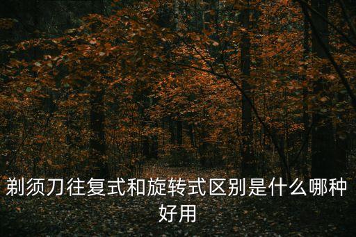 往復(fù)式，剃須刀往復(fù)式和旋轉(zhuǎn)式區(qū)別是什么哪種好用