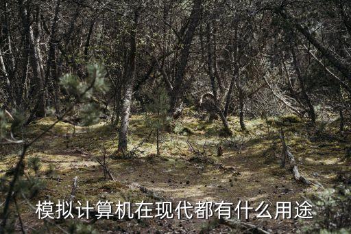 模擬計算機，模擬計算機是怎么回事啊
