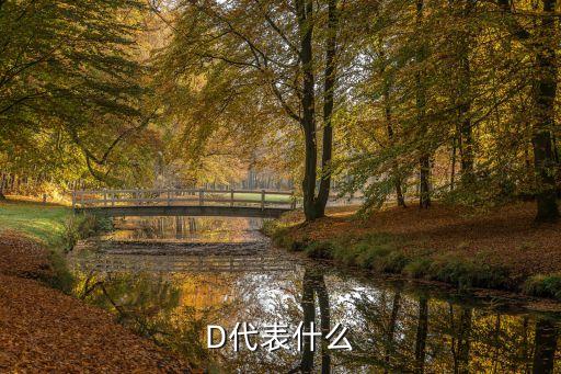 D代表什么