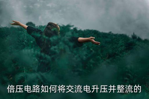 倍壓電路如何將交流電升壓并整流的