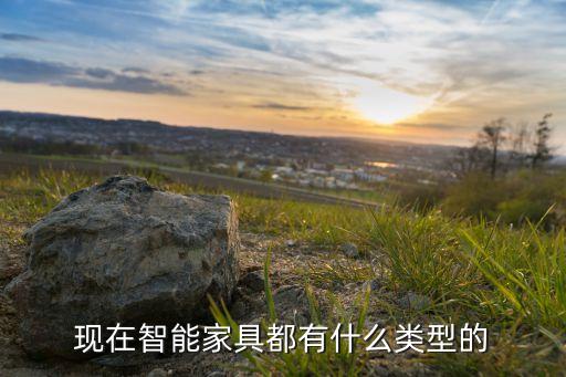 現(xiàn)在智能家具都有什么類型的