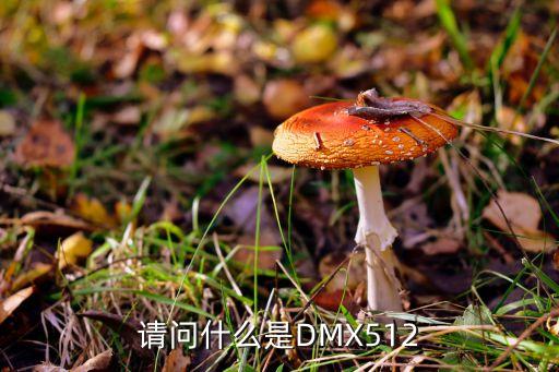 dmx512協(xié)議，DMX512自動識別地址是什么意思