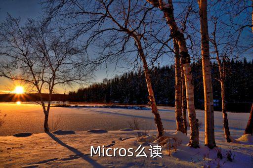 Micros么讀