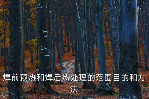 焊前預(yù)熱和焊后熱處理的范圍目的和方法