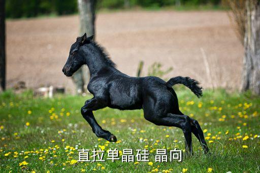 晶向，請(qǐng)教如何硅片時(shí)N型還是P型晶向如何確定