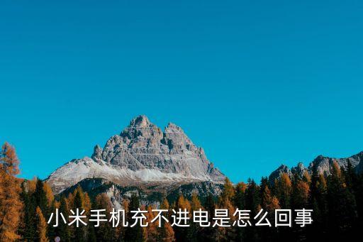 小米手機(jī)充不進(jìn)電是怎么回事