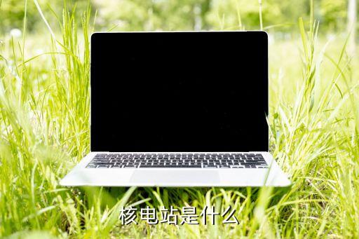 核電站是什么，什么叫核電站
