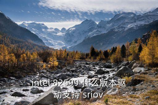 intel 82599 什么版本驅(qū)動支持 sriov