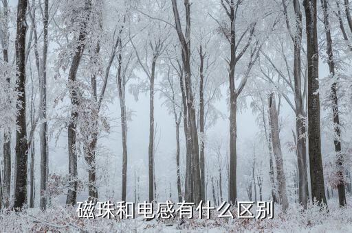 磁珠，磁珠和電感有什么區(qū)別