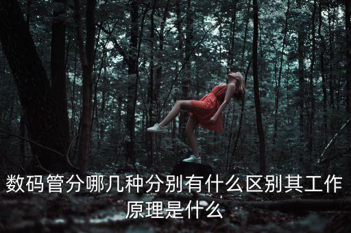 數(shù)碼管分哪幾種分別有什么區(qū)別其工作原理是什么