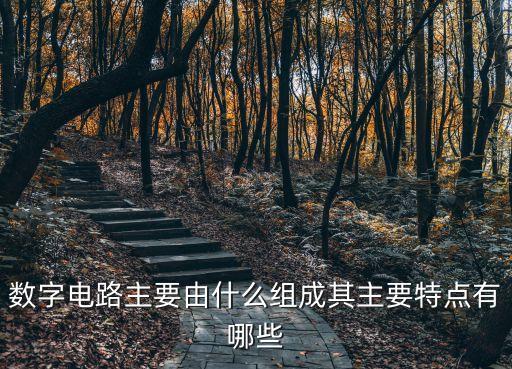 數(shù)字電路主要由什么組成其主要特點有哪些