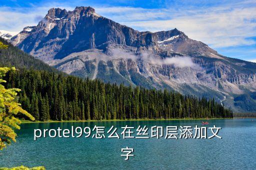 protel99怎么在絲印層添加文字