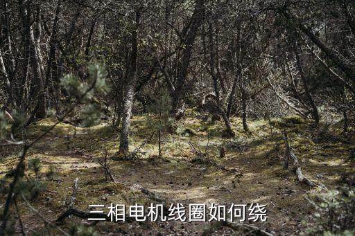 三相電機線圈如何繞