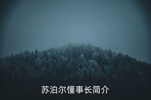 蘇泊爾懂事長簡介
