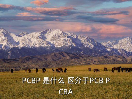 pcba什么意思，PCBP 是什么 區(qū)分于PCB PCBA