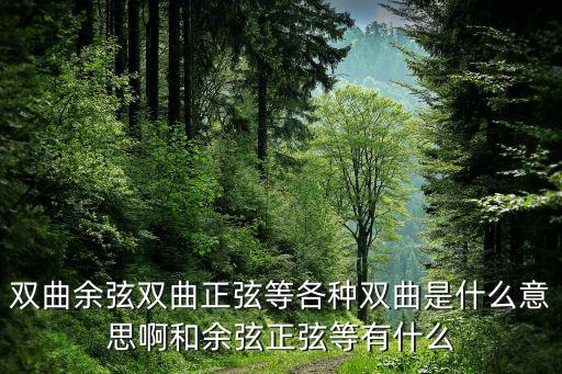 雙曲正弦，雙曲正弦函數(shù)sinh 12等于多少