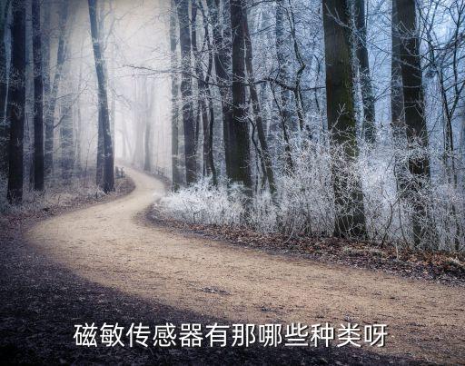 磁性傳感器，能夠檢測(cè)磁場(chǎng)強(qiáng)度的傳感器有哪些